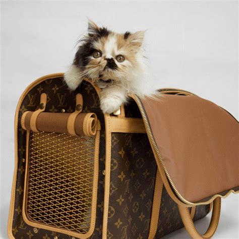 dog carrier lv|authentic louis vuitton pet carrier.